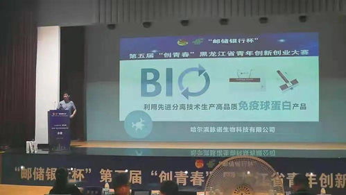 青春激荡牡丹江 龙江创客聚智共谋新发展